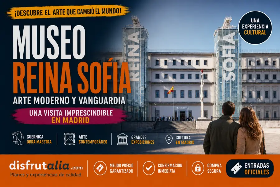 MUSEO REINA SOFIA VISITA GUIADA 